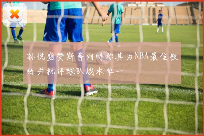 孙悦盛赞斯普利特称其为NBA最佳教练并批评球队战术单一